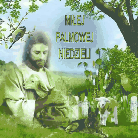 Jezus Miłej Palmowej Niedzieli